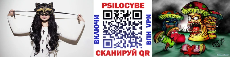 цена   Сим  Псилоцибиновые грибы Psilocybe 